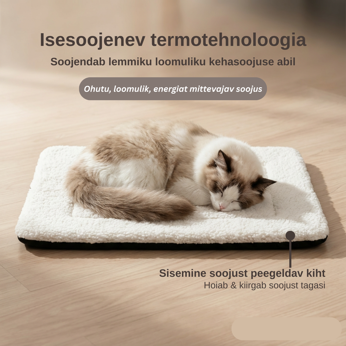 Isesoojenev lemmikloomapesa