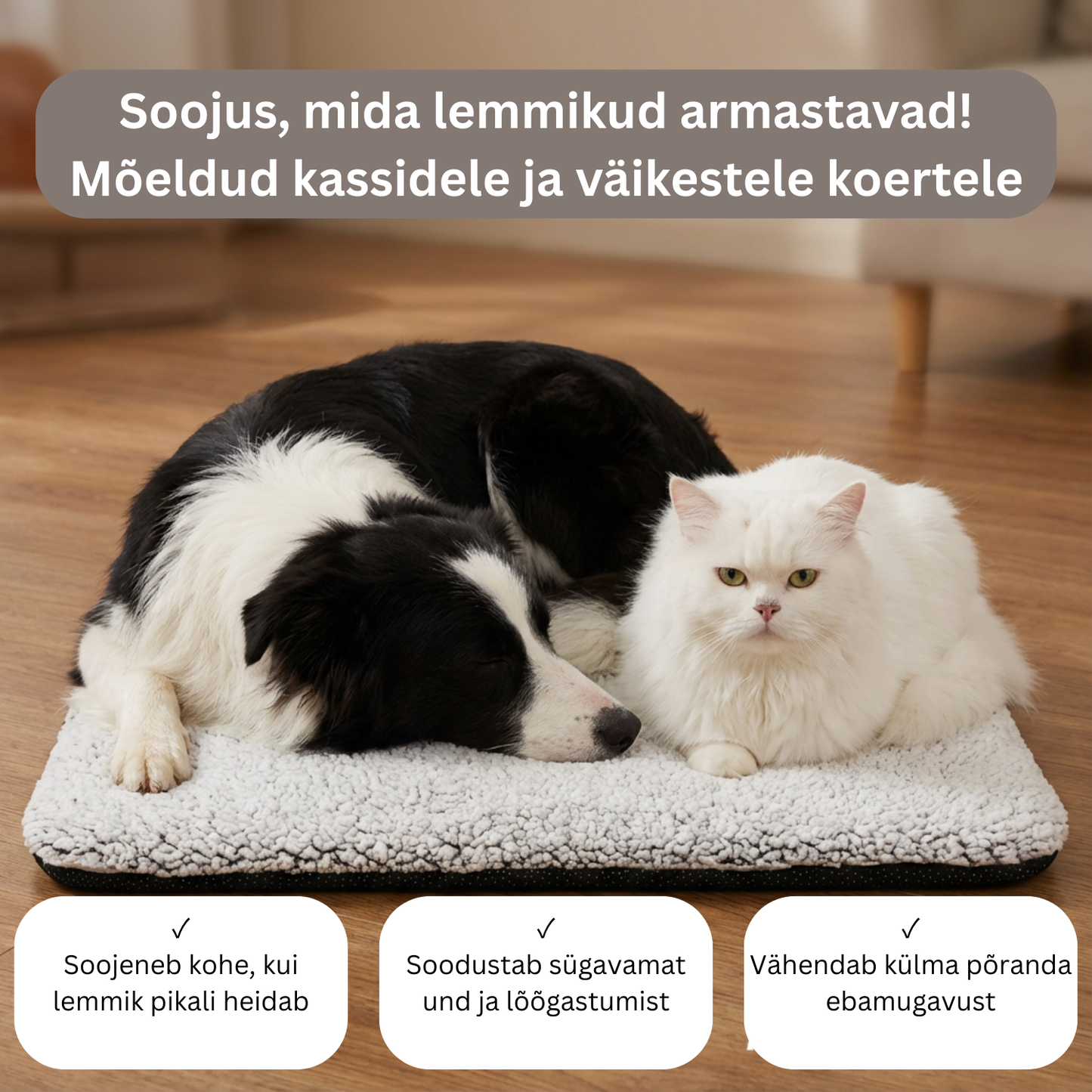 Isesoojenev lemmikloomapesa