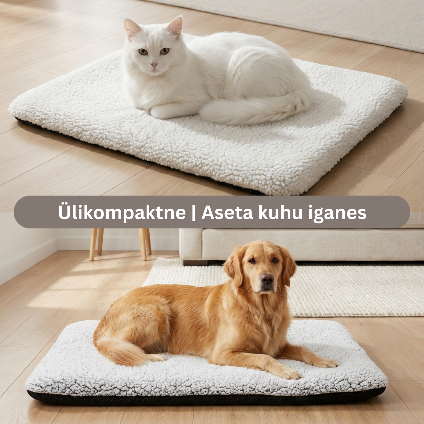 Isesoojenev lemmikloomapesa