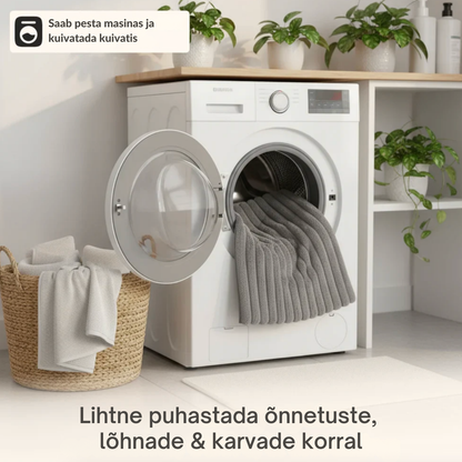 Isesoojenev lemmikloomapesa