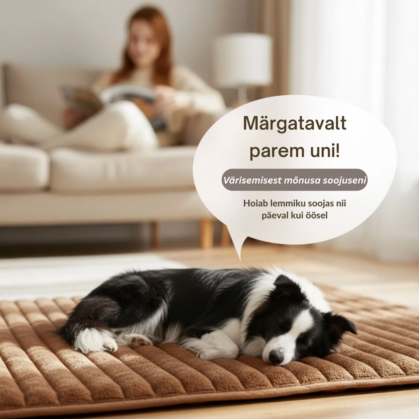 Isesoojenev lemmikloomapesa