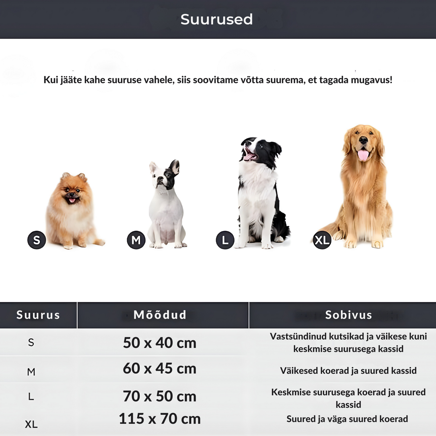 Isesoojenev lemmikloomapesa